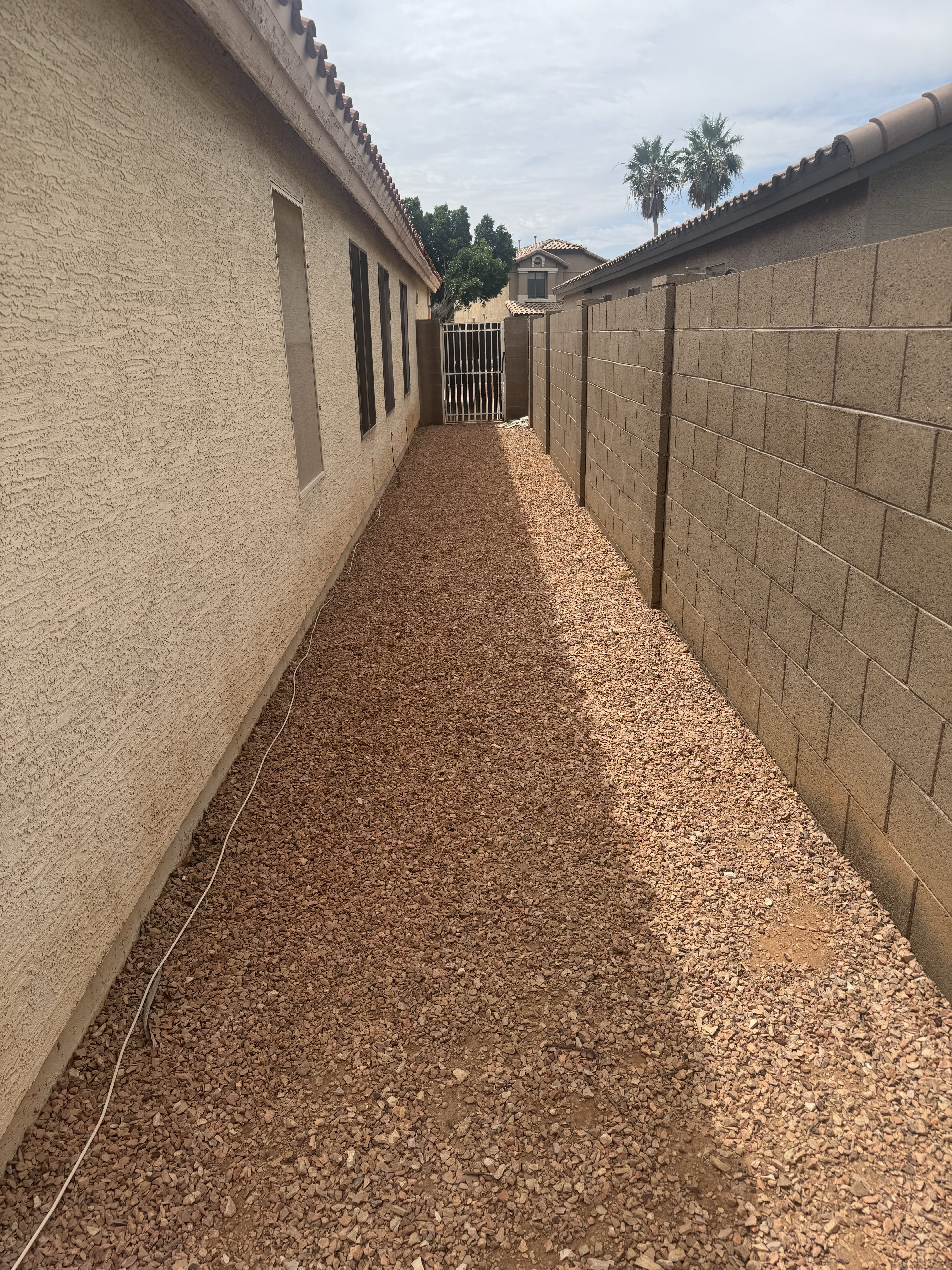 Clean yard after Scoop N Go Arizona service
