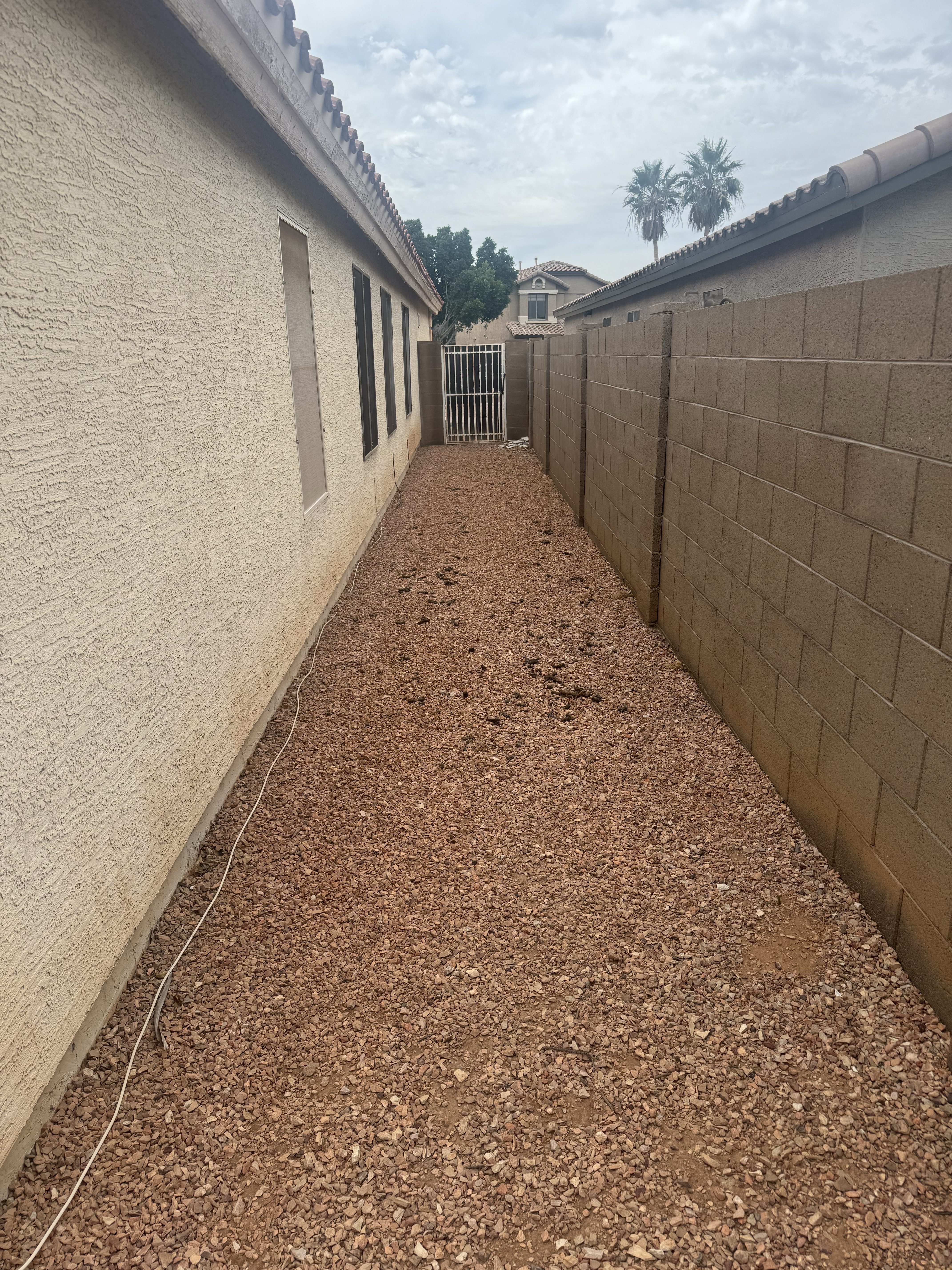 Yard before dog waste removal service