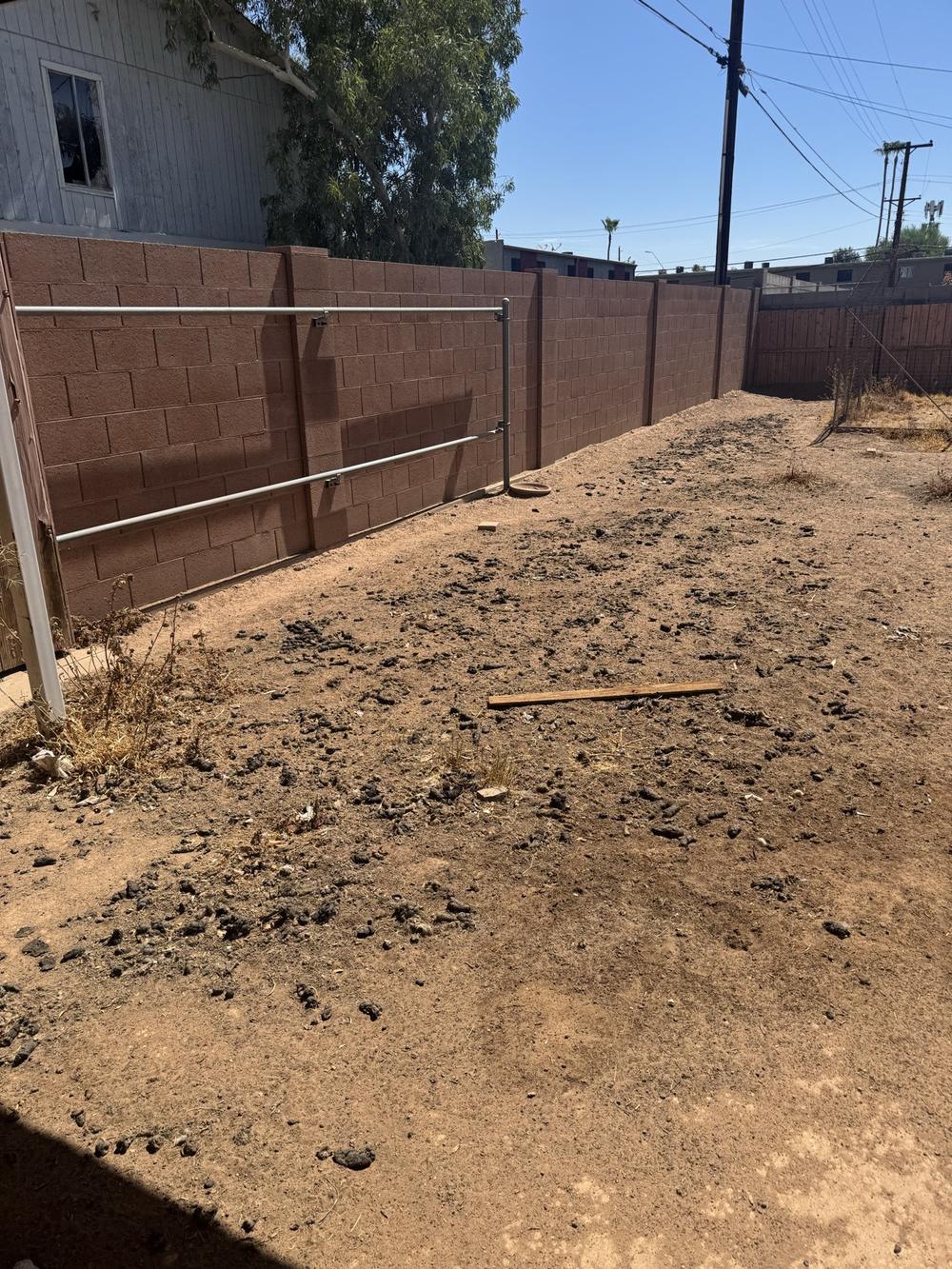 Backyard covered in dog waste before cleanup service